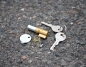 Preview: Steering Lock