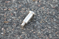 Preview: absorber bolt, rear shock