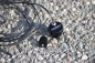 Preview: Speedo Sensor