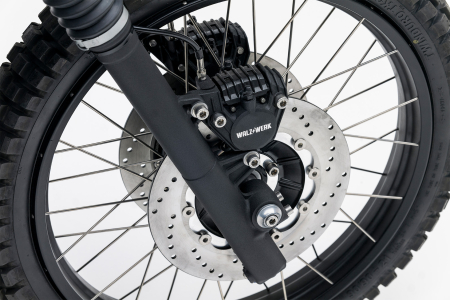 Fork Legs, shaved BMW GS