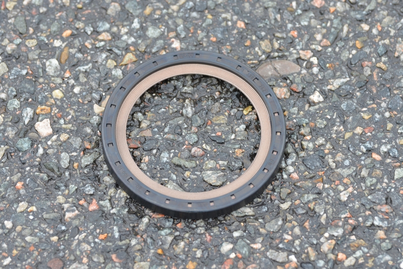 Mainshaft oil seals