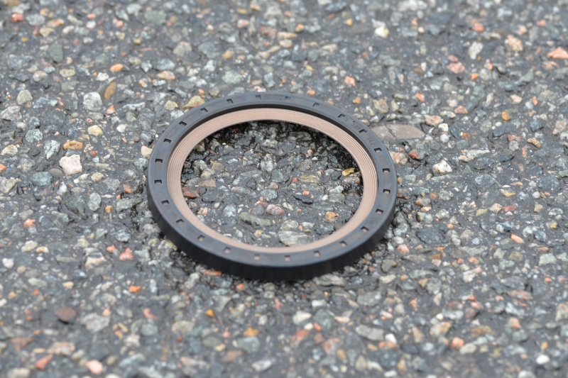 Mainshaft oil seals